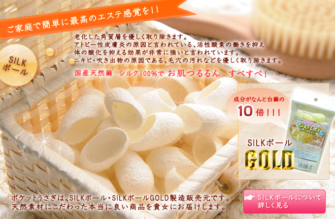 ƒŊȒPɍō̃GXeISILK{[͘VpwD菜܂BAgs[畆̌ƌĂA_f̓}Â̎_}ʂɋƌĂ܂BjLrEǒłAь̉ȂǂD菜܂BYVR100ł@ׁׂI
