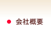 ЊTv