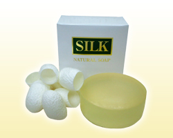 SILK\[v