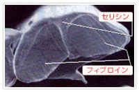 繭(シルク)のその他の特性