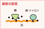 繊維の断面